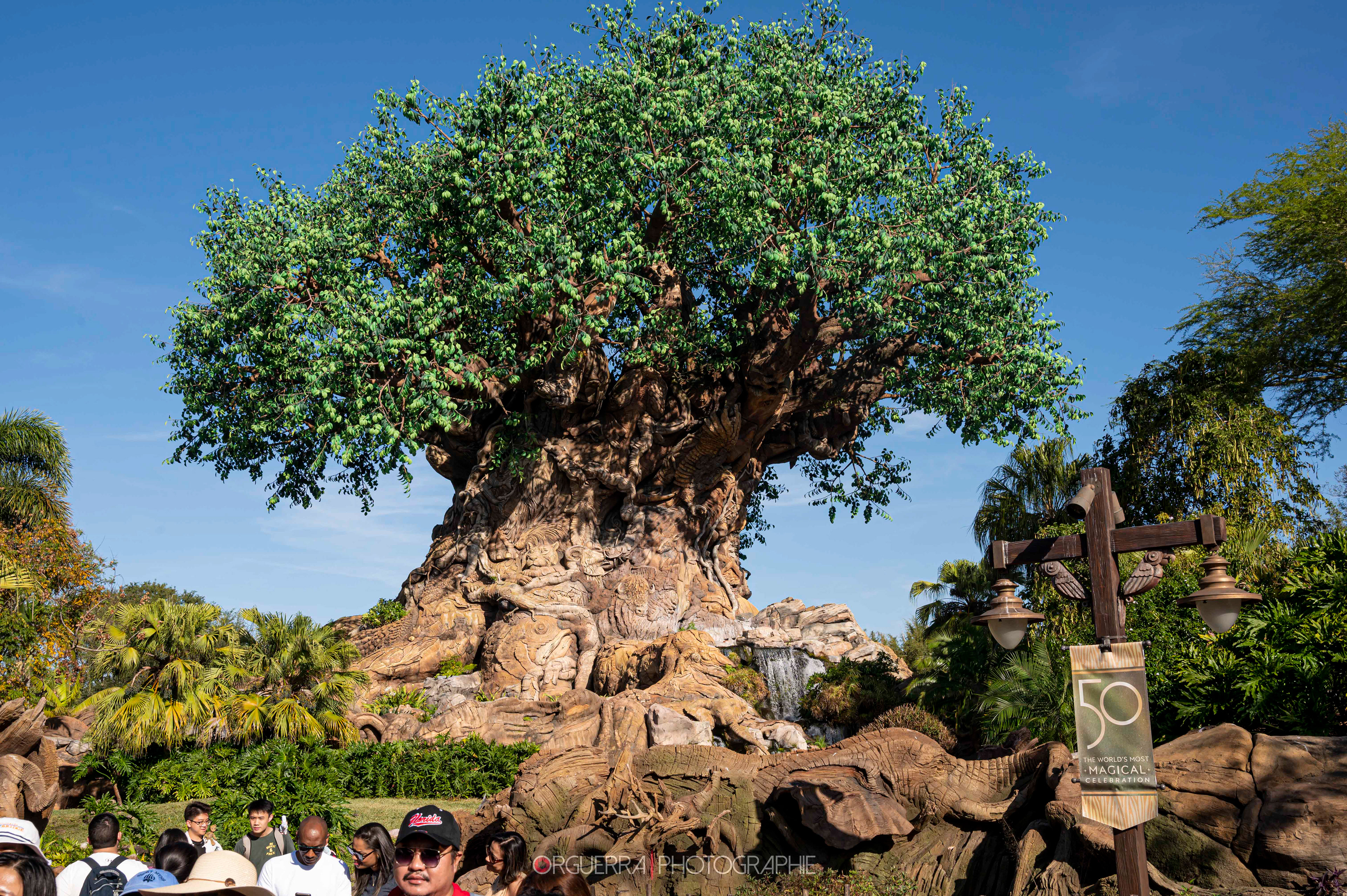 Magic Kingdom | Walt Disney World